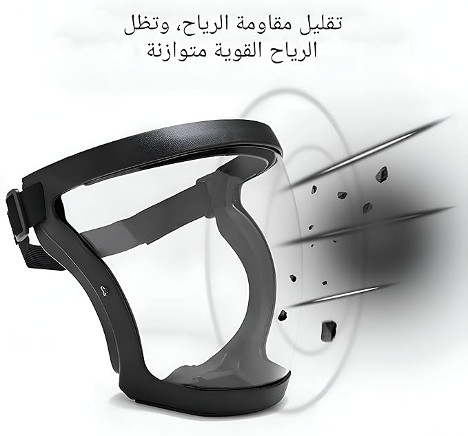 قناع الوجه